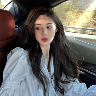 战鸽总动员